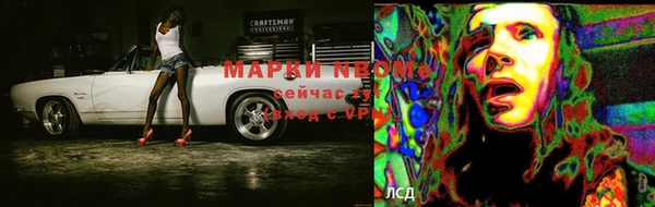 прущие грибы Горнозаводск