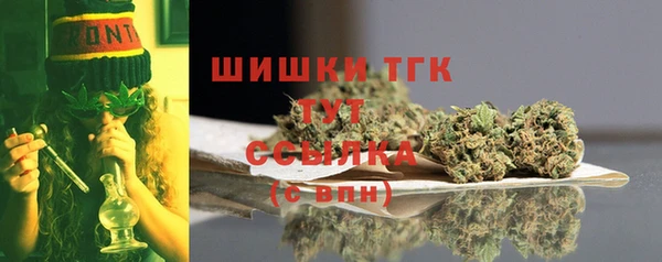 прущие грибы Горнозаводск