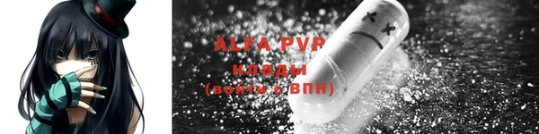 прущие грибы Горнозаводск