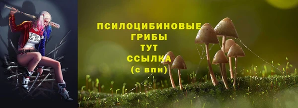 меф Горняк