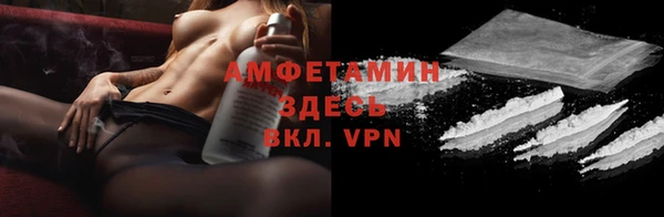 прущие грибы Горнозаводск