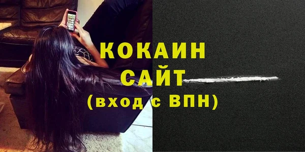 прущие грибы Горнозаводск