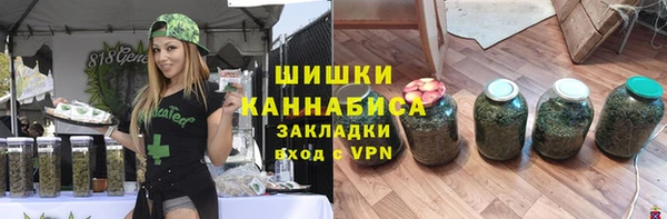 прущие грибы Горнозаводск