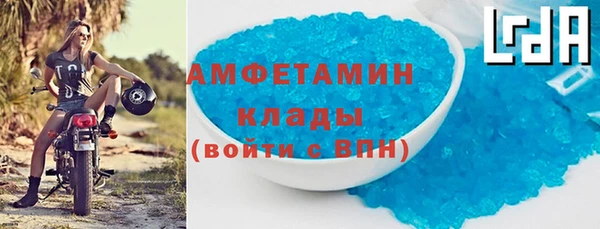 прущие грибы Горнозаводск