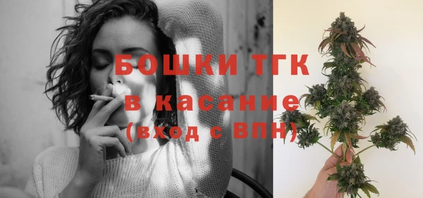 прущие грибы Горнозаводск