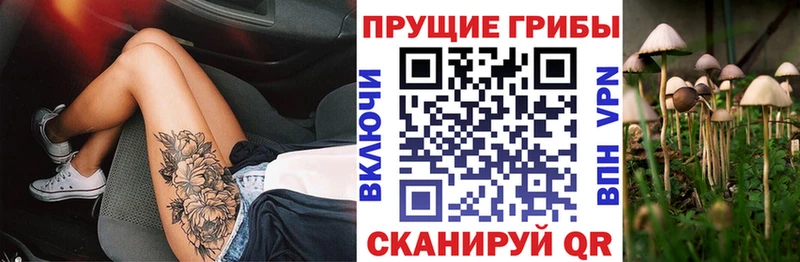 Купить где  Фурманов  Галлюциногенные грибы прущие грибы 